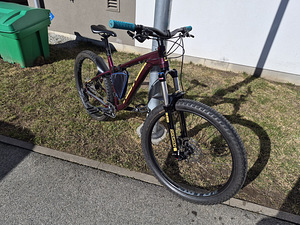 Kona big honzo (1 foto / 7)