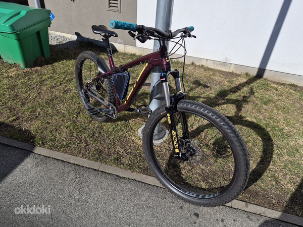 Kona big honzo
