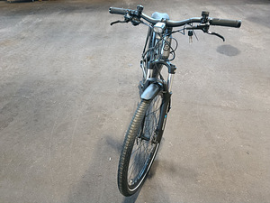 Elektriratas Prophete Graveler 29″ (9 foto / 10)