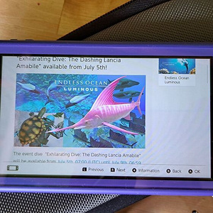 Nintendo Switch Lite 32GB + Skyrim AE (2 foto / 2)
