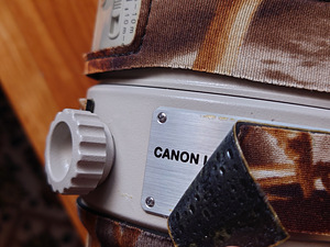 Canon EF 400mm f/2.8L IS USM (4 foto / 8)