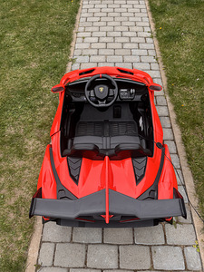 Laste elektriauto Lamborghini Veneno (2 foto / 10)