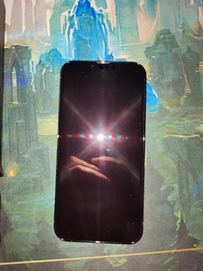 iPhone 13 Pro Макс 256 ГБ (6 фото из 9)