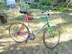 Crescent 28" jalgratas (4 foto / 4)