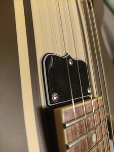 Гитара blink 182 Tom Delonge Epiphone ES-333 (9 фото из 10)