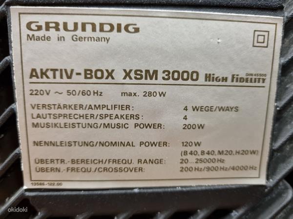 Grundig Aktiv Box XSM 3000 Active Loudspeaker System (foto #5)