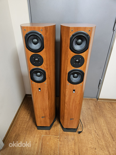 Audio Pro Avanter NINE aktiivne sub