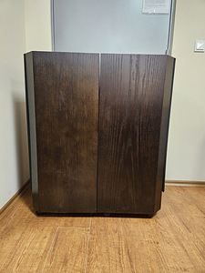 SAROY HiFi suured kõlarid. (4 foto / 5)