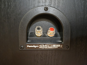 Paradigm V5 Titan Monitor Speakers (5 foto / 5)