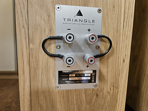 Напольная акустическая система Triangle Esprit Antal EZ (6 фото из 7)