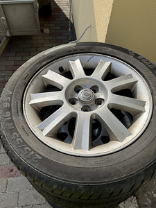 Rattad (2 foto / 2)