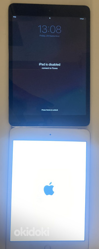 iPad mini 4 WIFI+Celluar VARUOSADEKS