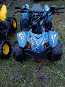 ATV-д 2 шт. 110 см3 (4 фото из 10)