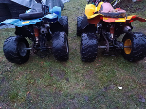 ATV-д 2 шт. 110 см3 (7 фото из 10)