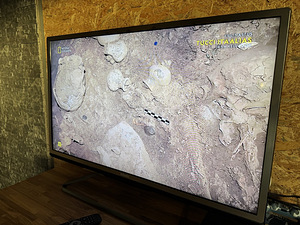 Телевизор Philips Full HD 40" (5 фото из 7)