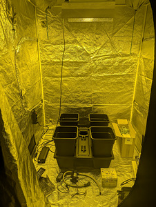 Kasvatustelgi komplekt grow box 150x150x200 cm (3 foto / 10)