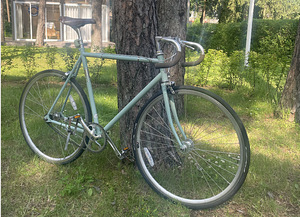 Fuji Feather 57/58 L (2015) одиночная передача / фикс велосипед (2 фото из 10)