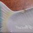 Brjanski kubermangu heeringatoidu kala Pesotšenskaja tehas (foto #4)