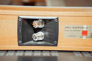 Dali Ikon 5.1 kõlarite komplekt (7 foto / 10)