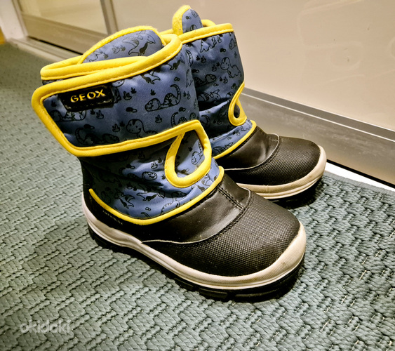 Geox suurus 26