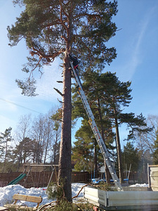 Teostan erinevaid töid (2 foto / 3)
