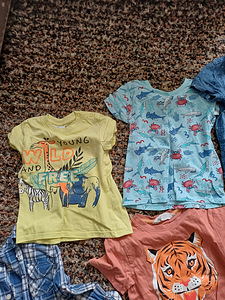 Hm, Chicco Одежда для мальчиков 92-98 (6 фото из 10)
