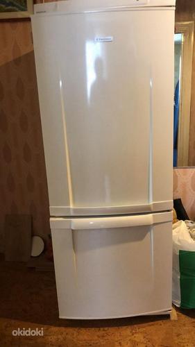 Посудомоечная машина и холодильник (фото #4)