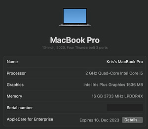 Macbook Pro 2020 16GB 512GB i5, garantii (4 foto / 5)