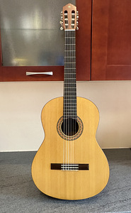 Yamaha C30M гитарный комплект