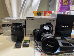 Canon EOS 250D, EF 17-40mm f/4L USM (1 foto / 3)