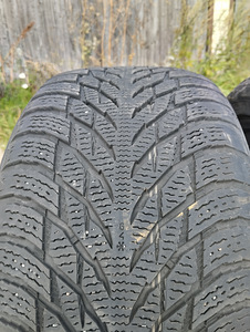 245/40/19 Nokian MS (3 foto / 7)