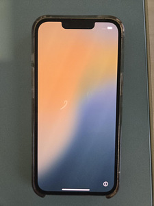 Apple iPhone13pro 256mb +originaal Magsafe ümbris (1 foto / 2)