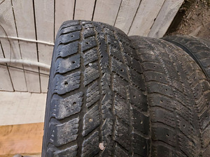 Talverehvid Roadstone (3 foto / 5)
