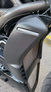 Ducati Xdiavel S Roland Sands design (9 foto / 10)