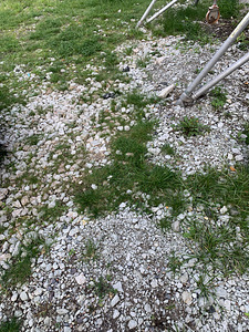Killustik 16/32 tagasitäiteks tasuta (3 foto / 3)
