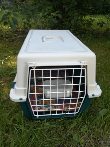 Loomade transpordikott