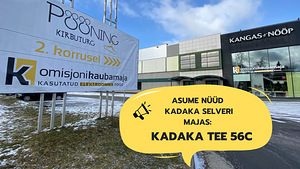 Kõik koduaudio ja helisüsteemi jaoks - garantii (6 foto / 7)
