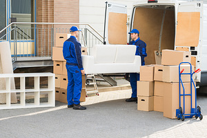 Transport, kolimisteenused, utiliseerimine, laadijad 24/7 (5 foto / 10)