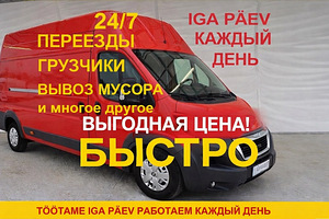 Transport – laaduriteenused seitse päeva nädalas (3 foto / 10)