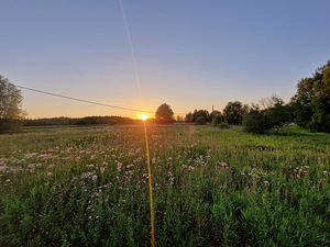 Sepa, Uniküla, Valga vald, Valgamaa (3 foto / 3)