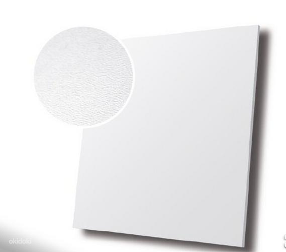 Потолочный гипсокартон Casoroc 600x600мм белый (фото #1)