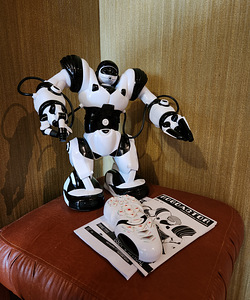 Kaugjuhtimispuldiga robot (1 foto / 4)