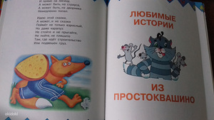Большая книга (2 фото из 3)
