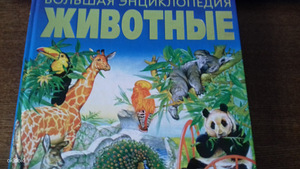 Большая книга (1 фото из 3)