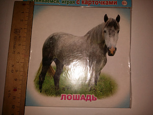 Новые карточки (1 фото из 2)