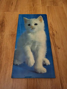 Картина кота (1 фото из 3)