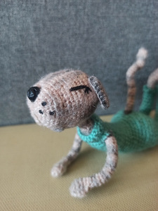 Amigurumi. Interjöörimänguasi. (4 foto / 6)