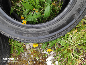 Летние шины R16/50/225 Dunlop Sport (2 фото из 3)