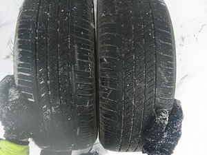 Ламели шины R18/55/235 Bridgestone (1 фото из 4)