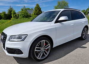 Audi SQ5 (5 foto / 14)
